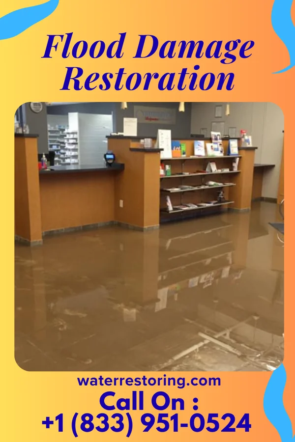 Flood Damage Restoration in Horine, MO