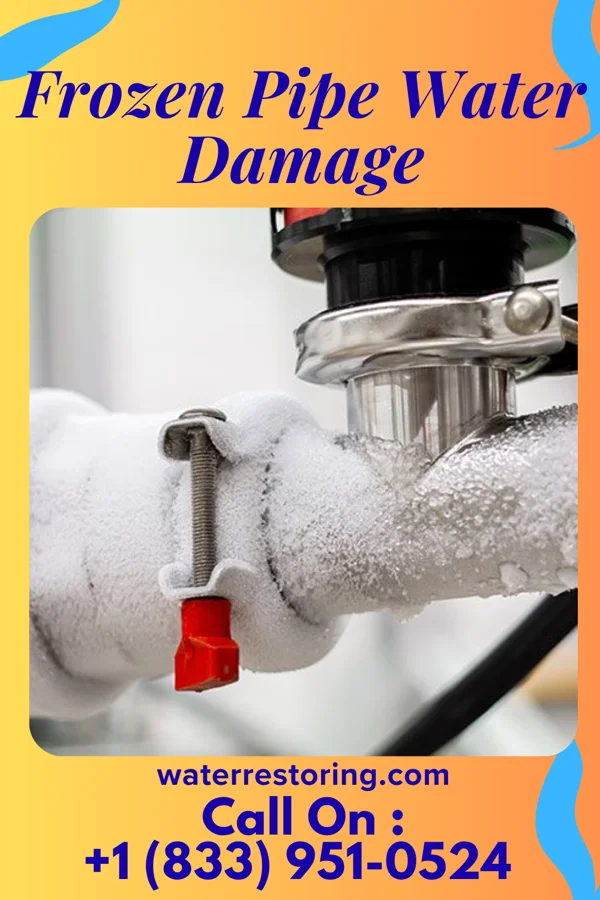 Frozen Pipe Water Damage in Horine, MO