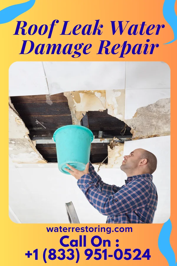 Roof Leak Water Damage Repair in Horine, MO