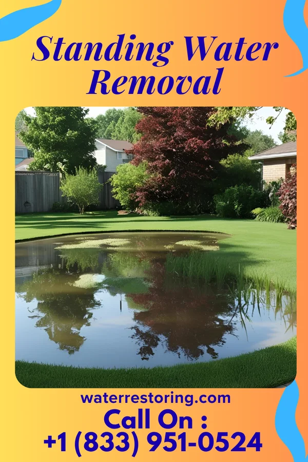 Standing Water Removal in Horine, MO